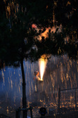 2009tedutu_09.JPG