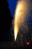2009tedutu_21.JPG