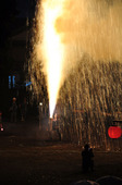 2009tedutu_27.JPG