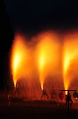 2010tedutu_14.JPG