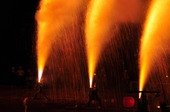 2010tedutu_24.JPG