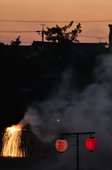 2011tedutu_07.JPG
