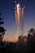 2011tedutu_08.JPG