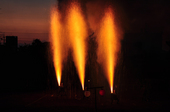 2011tedutu_11.JPG