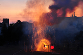 2011tedutu_12.JPG