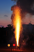 2011tedutu_18.JPG