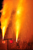 2011tedutu_24.JPG