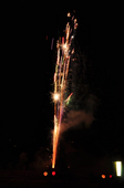 2011tedutu_30.JPG